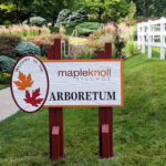 maple knoll arboretum