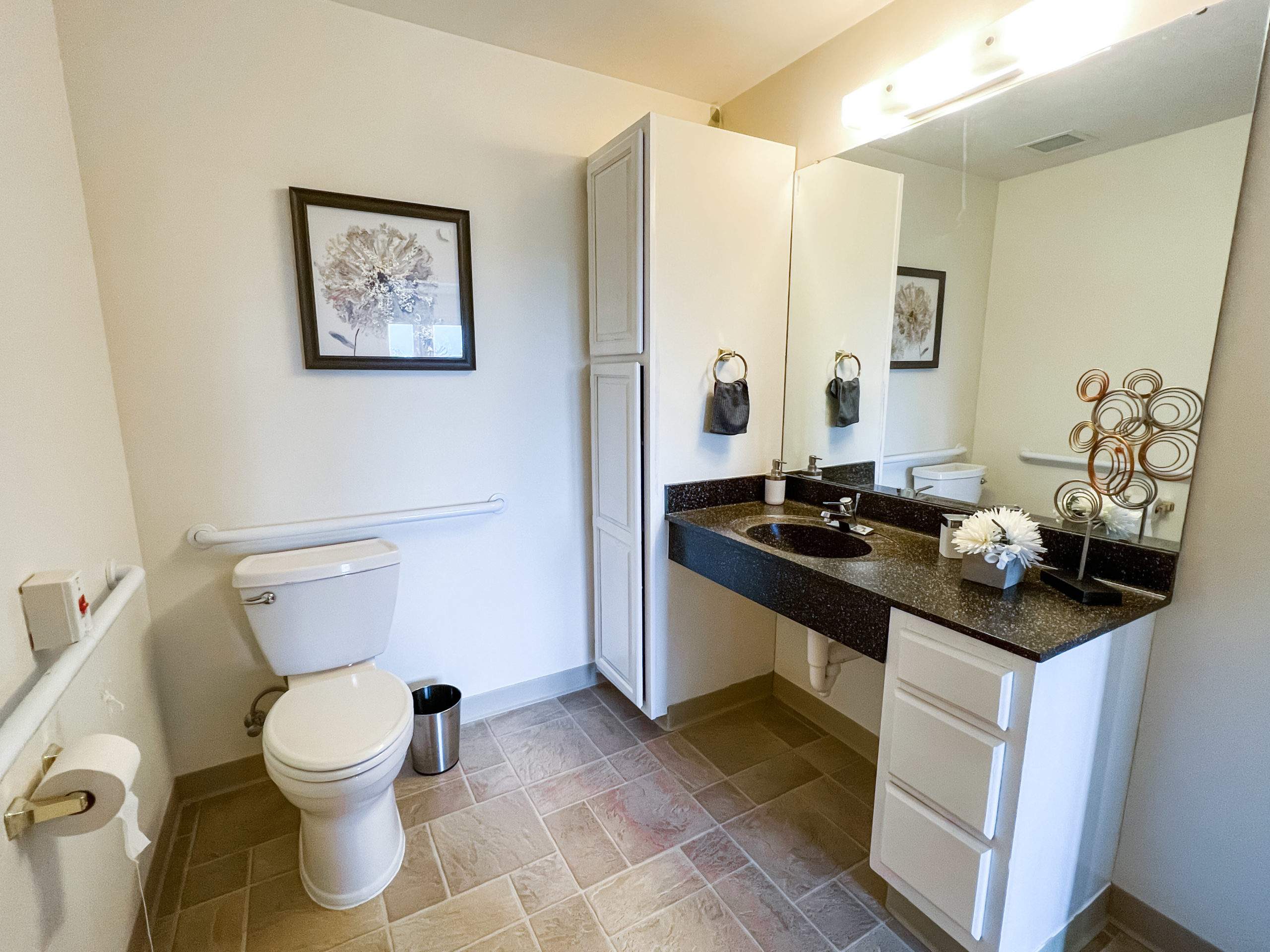 assisted living bathroom